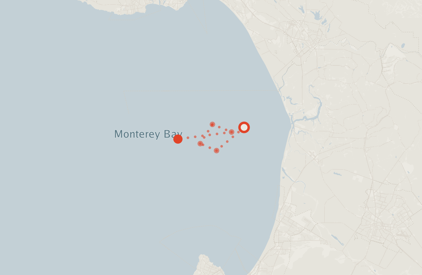 Activity map — real sighting points on an OpenStreetMap basemap