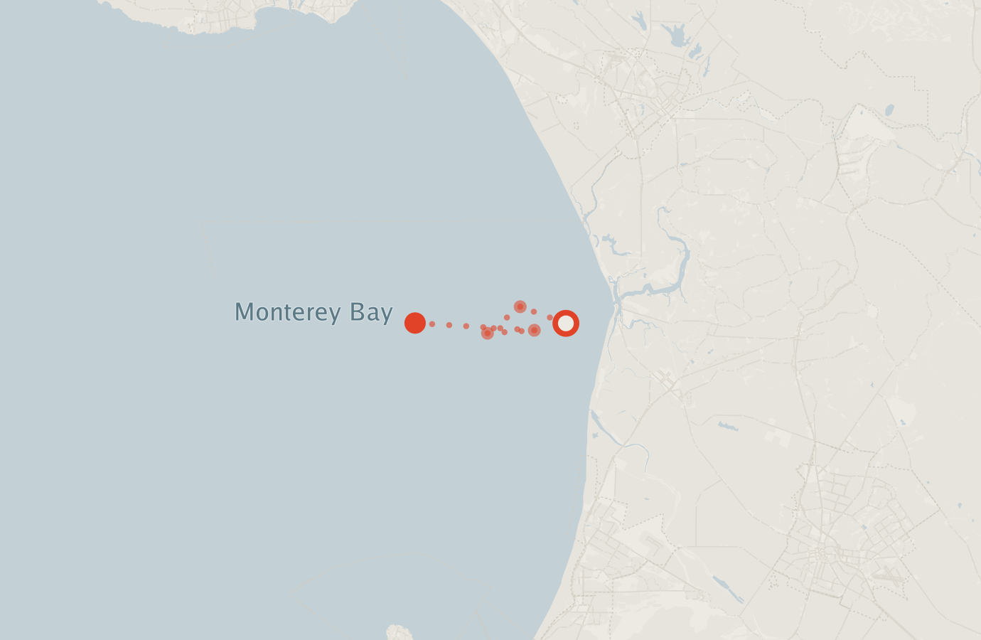 Activity map — real sighting points on an OpenStreetMap basemap