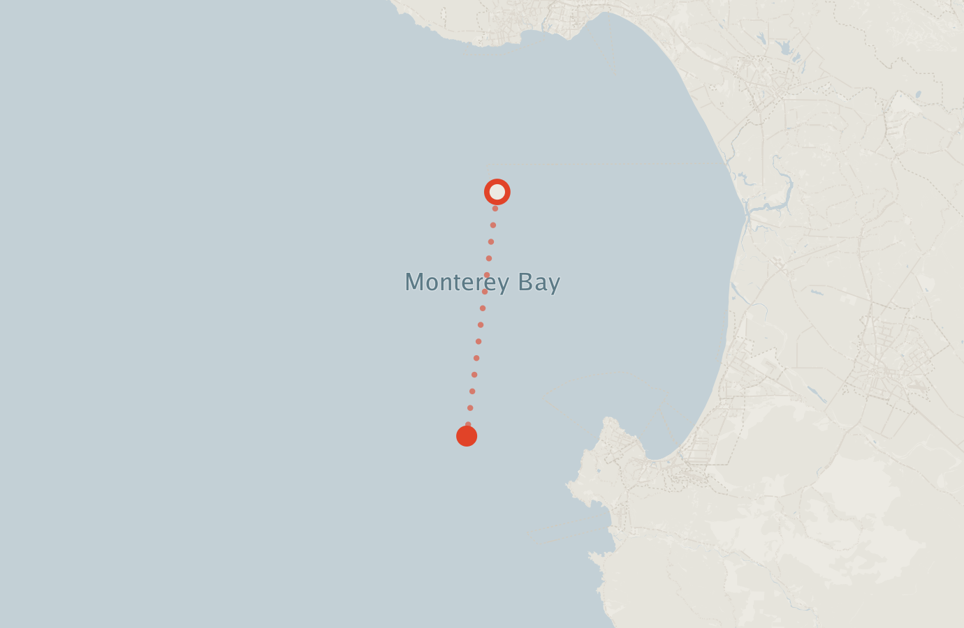 Activity map — real sighting points on an OpenStreetMap basemap