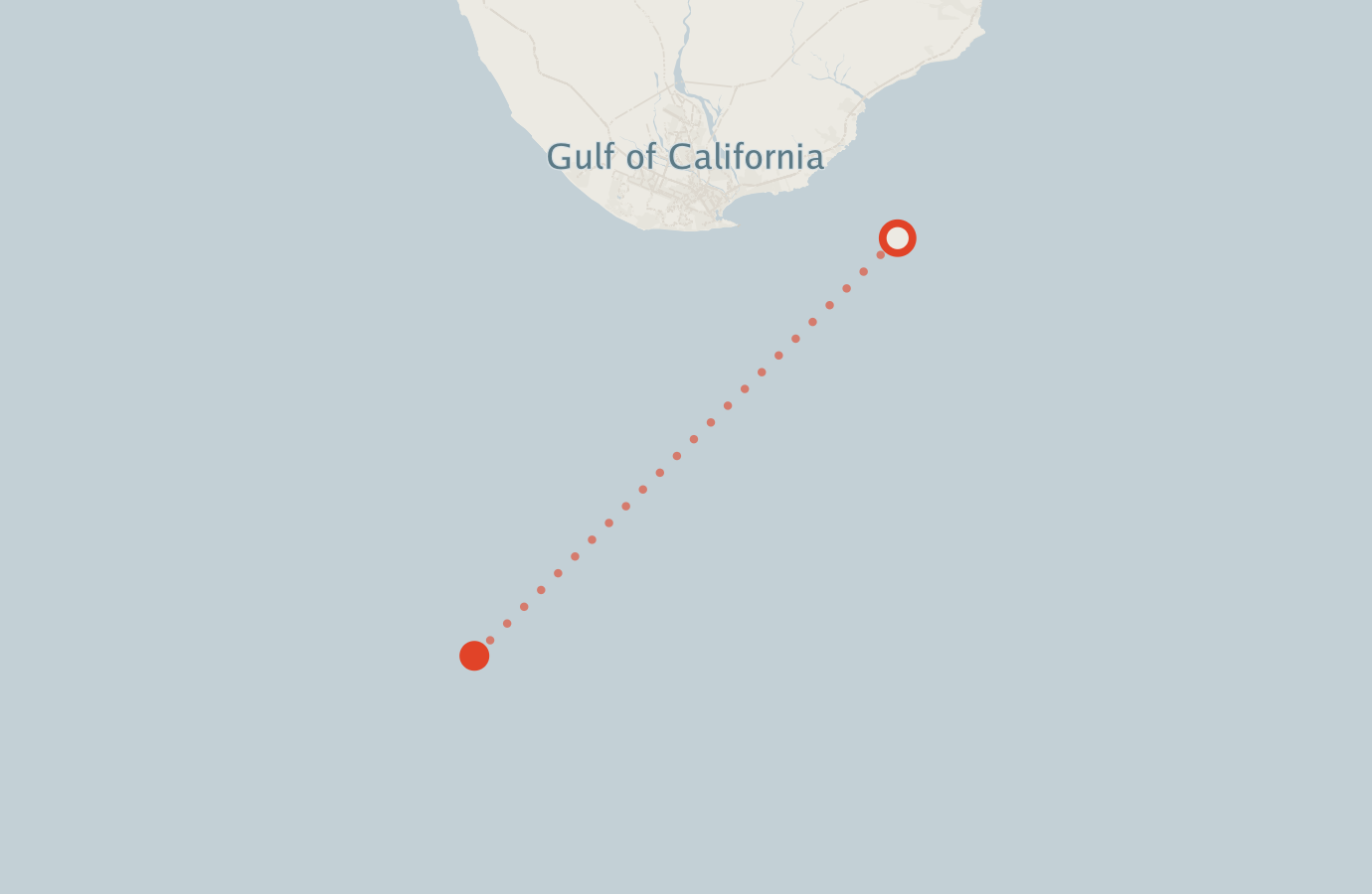 Activity map — real sighting points on an OpenStreetMap basemap