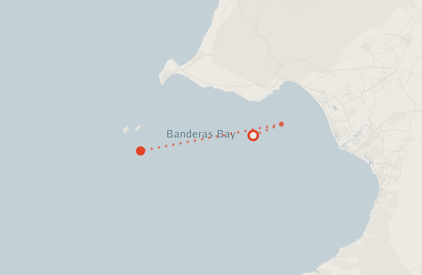 Activity map — real sighting points on an OpenStreetMap basemap