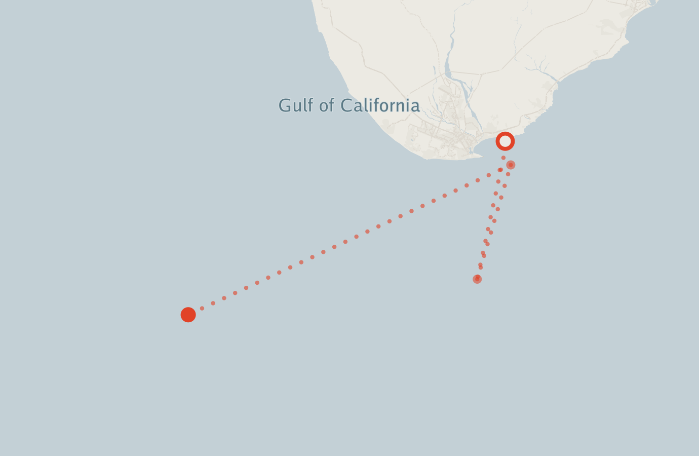Activity map — real sighting points on an OpenStreetMap basemap