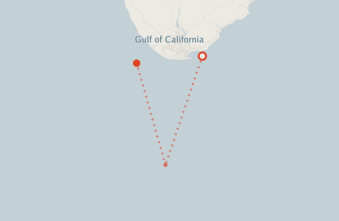 Activity map — real sighting points on an OpenStreetMap basemap