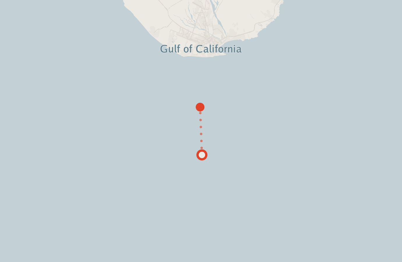 Activity map — real sighting points on an OpenStreetMap basemap