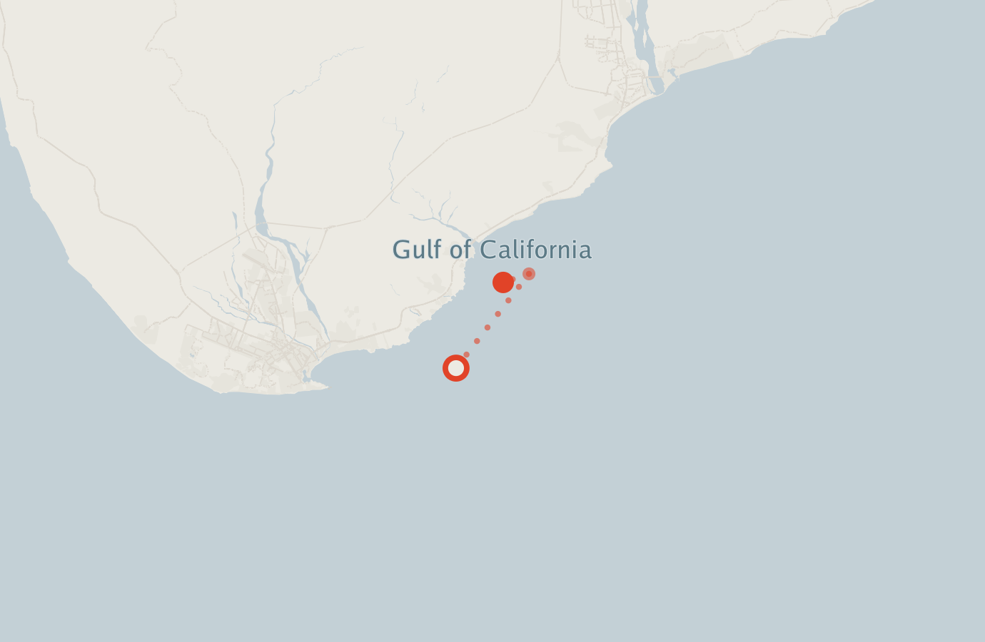 Activity map — real sighting points on an OpenStreetMap basemap
