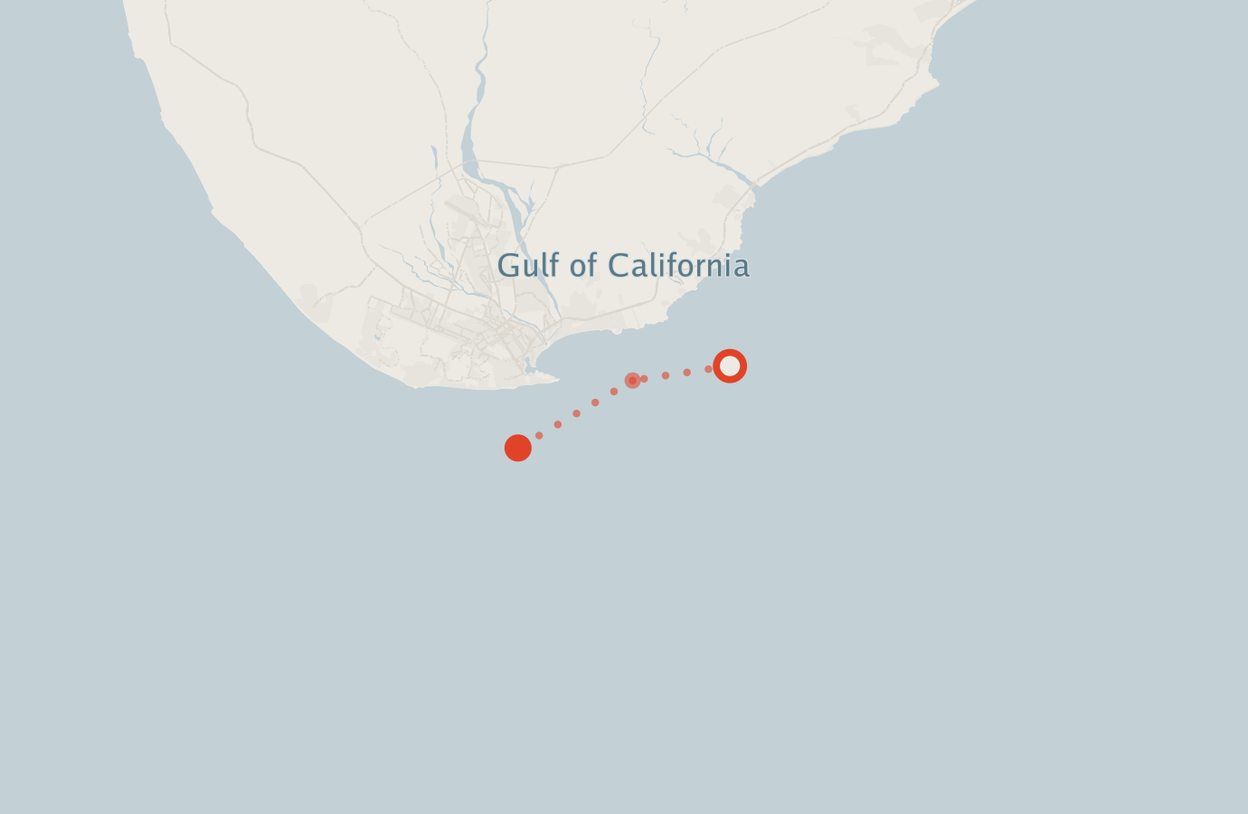 Activity map — real sighting points on an OpenStreetMap basemap