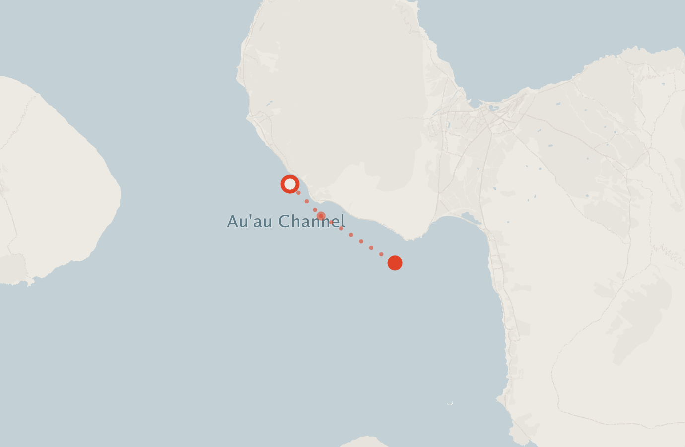 Activity map — real sighting points on an OpenStreetMap basemap
