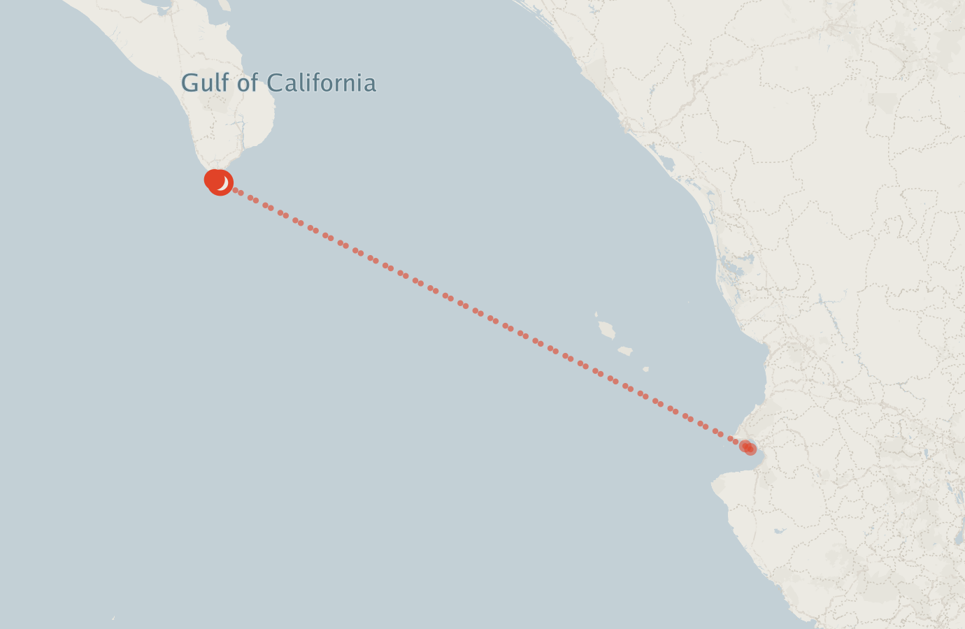 Activity map — real sighting points on an OpenStreetMap basemap