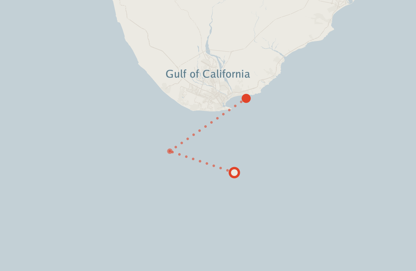 Activity map — real sighting points on an OpenStreetMap basemap