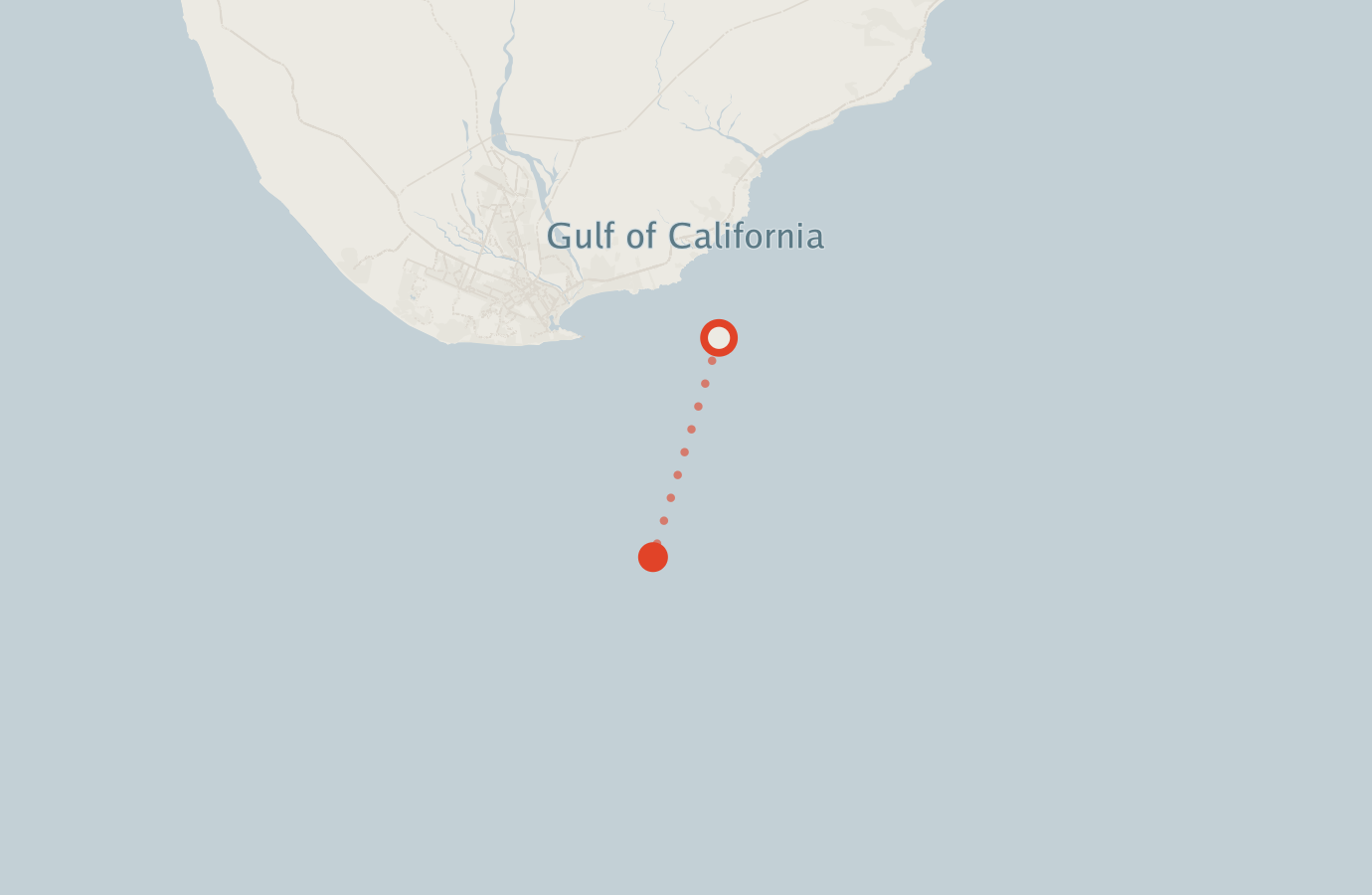 Activity map — real sighting points on an OpenStreetMap basemap