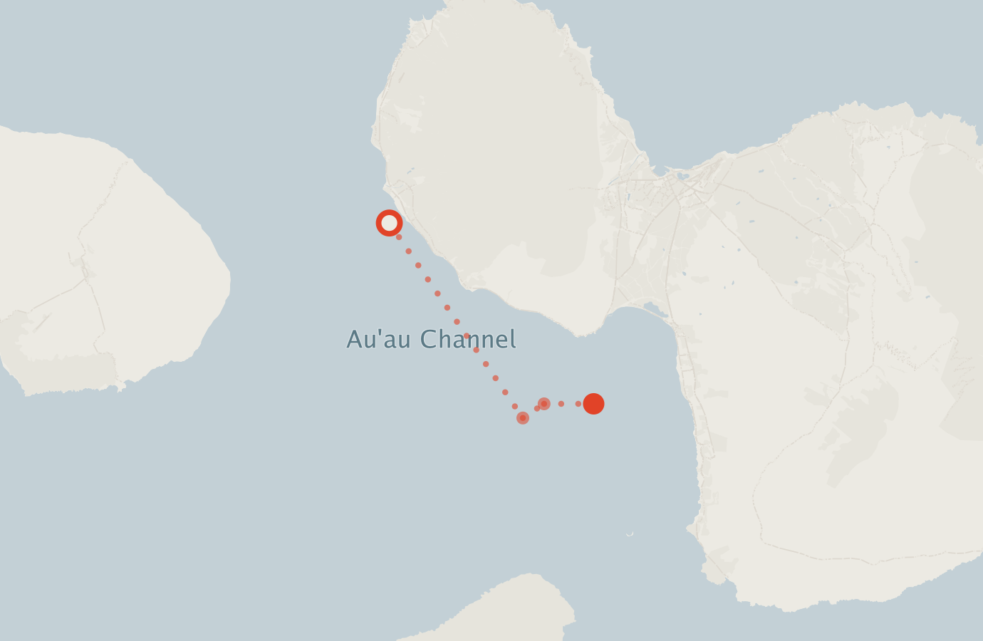 Activity map — real sighting points on an OpenStreetMap basemap