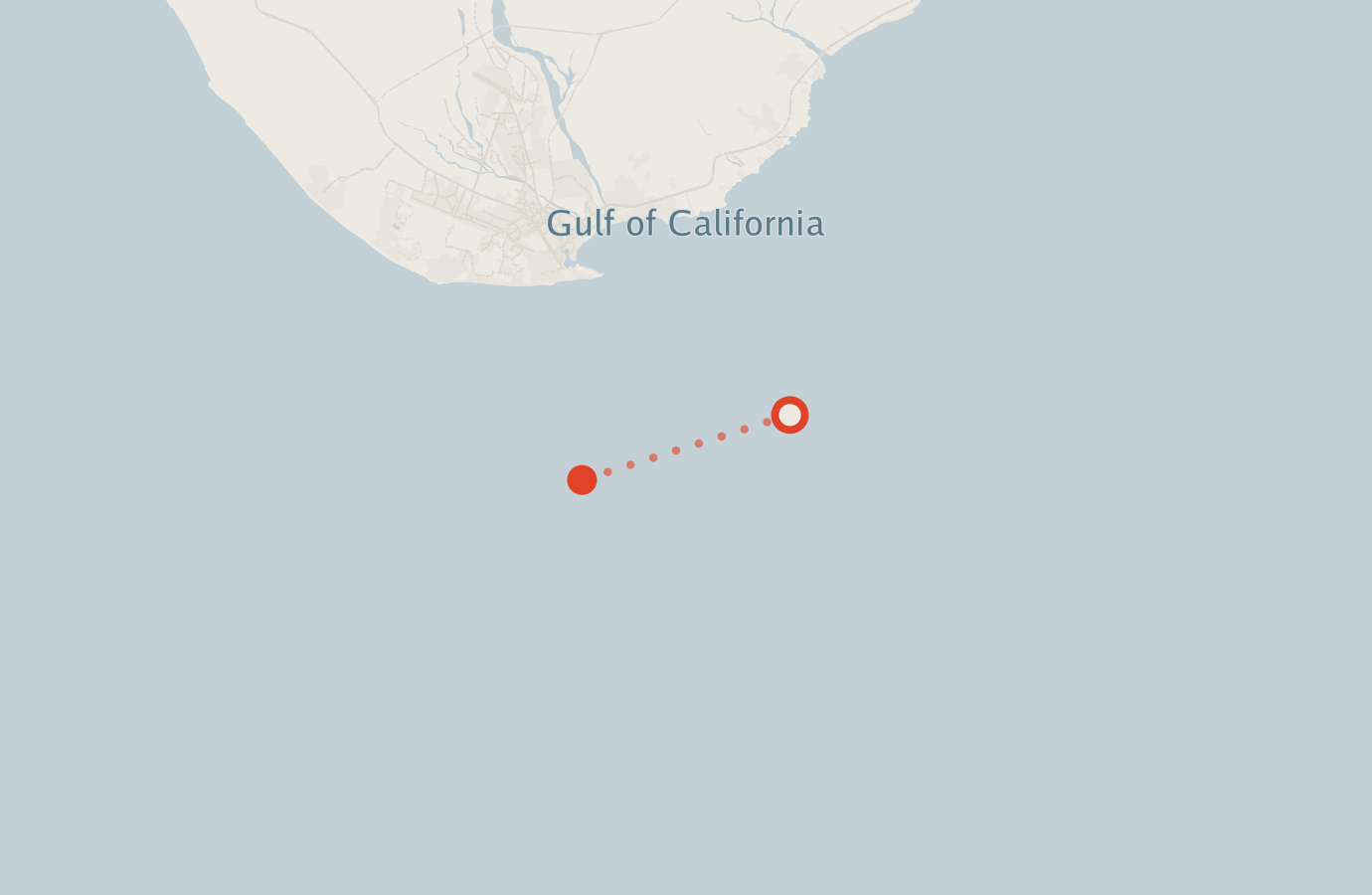 Activity map — real sighting points on an OpenStreetMap basemap