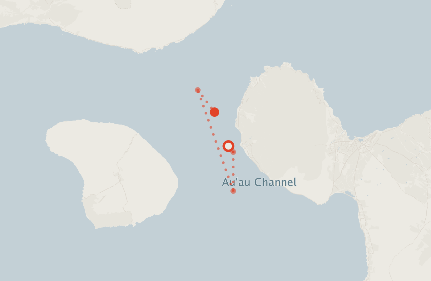 Activity map — real sighting points on an OpenStreetMap basemap