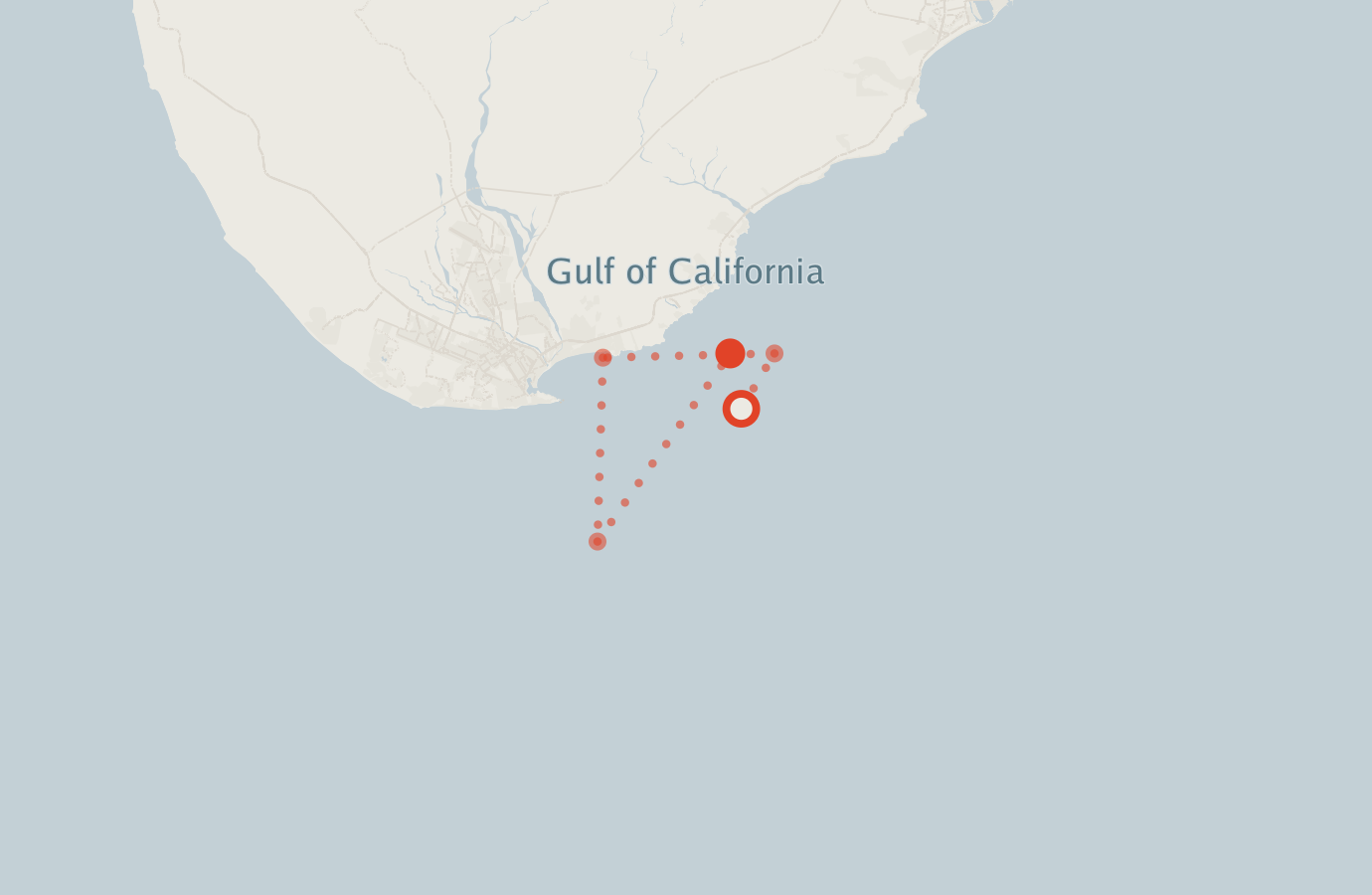 Activity map — real sighting points on an OpenStreetMap basemap