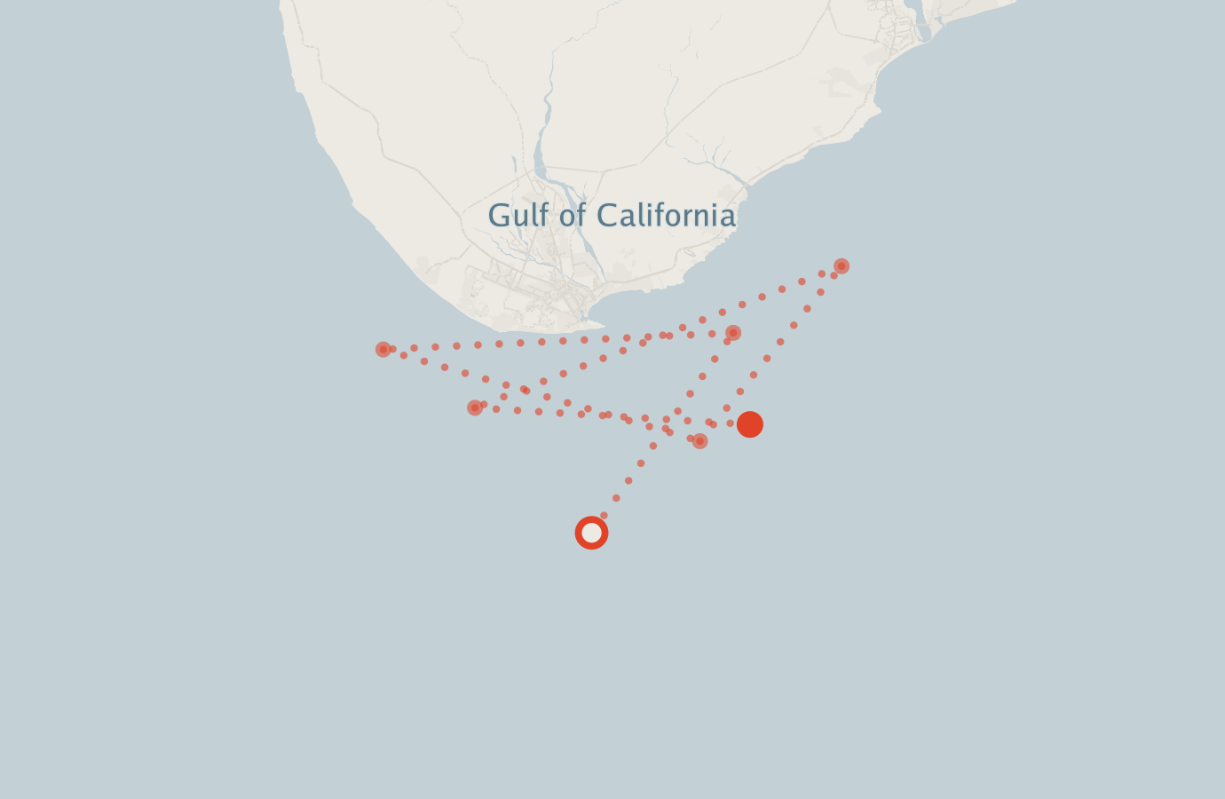 Activity map — real sighting points on an OpenStreetMap basemap