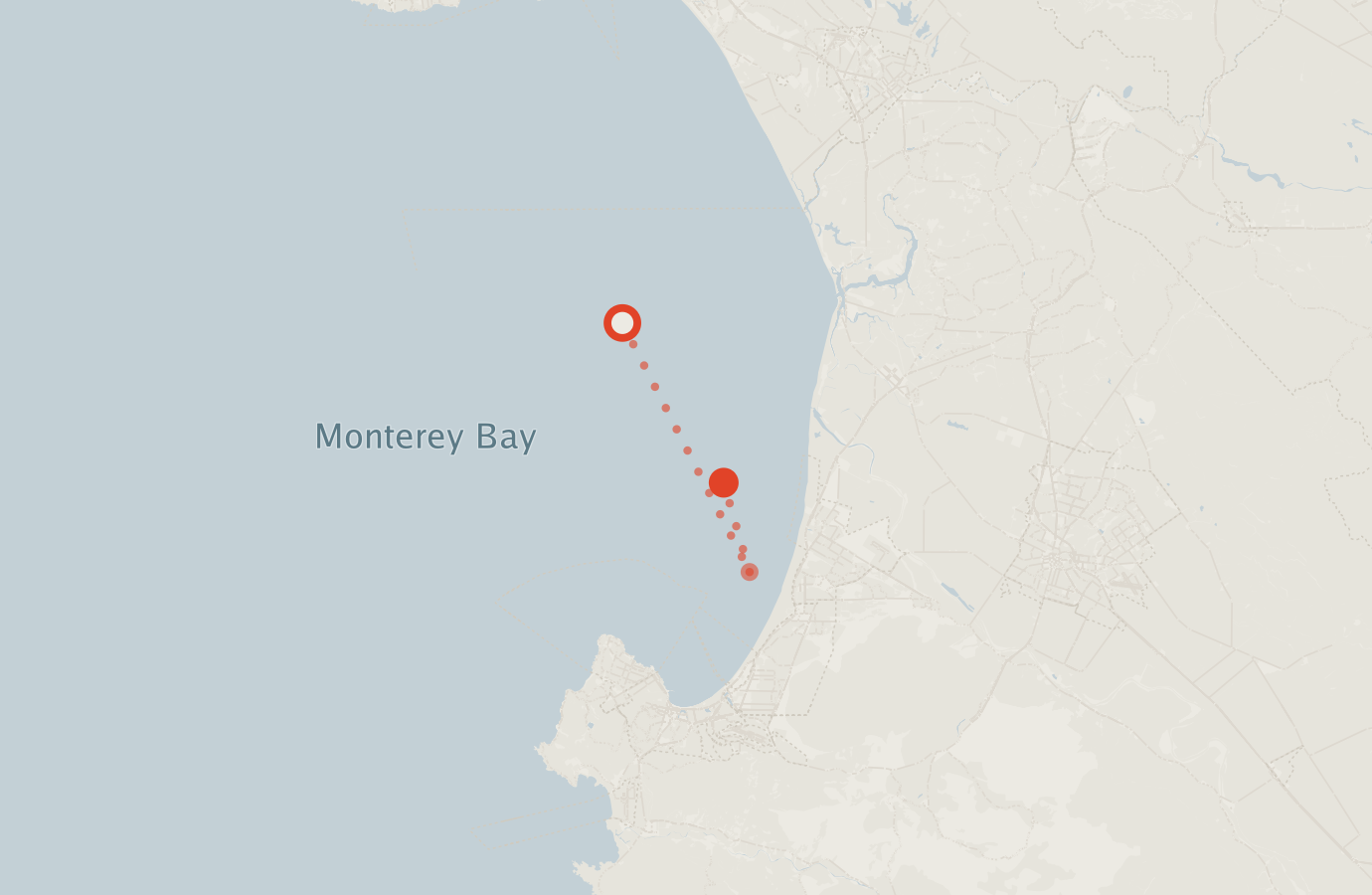 Activity map — real sighting points on an OpenStreetMap basemap