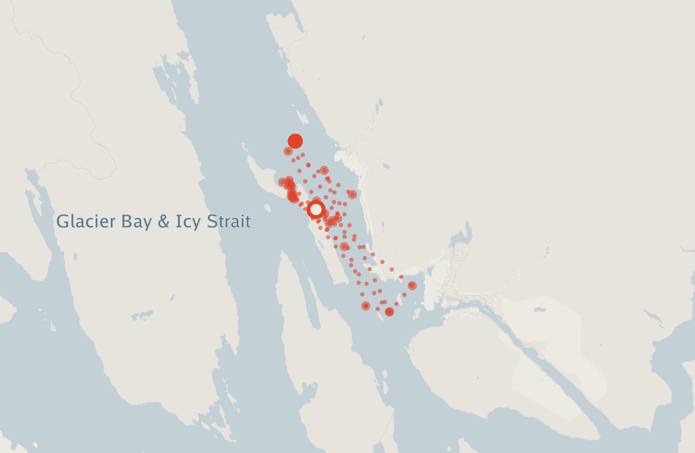 Activity map — real sighting points on an OpenStreetMap basemap