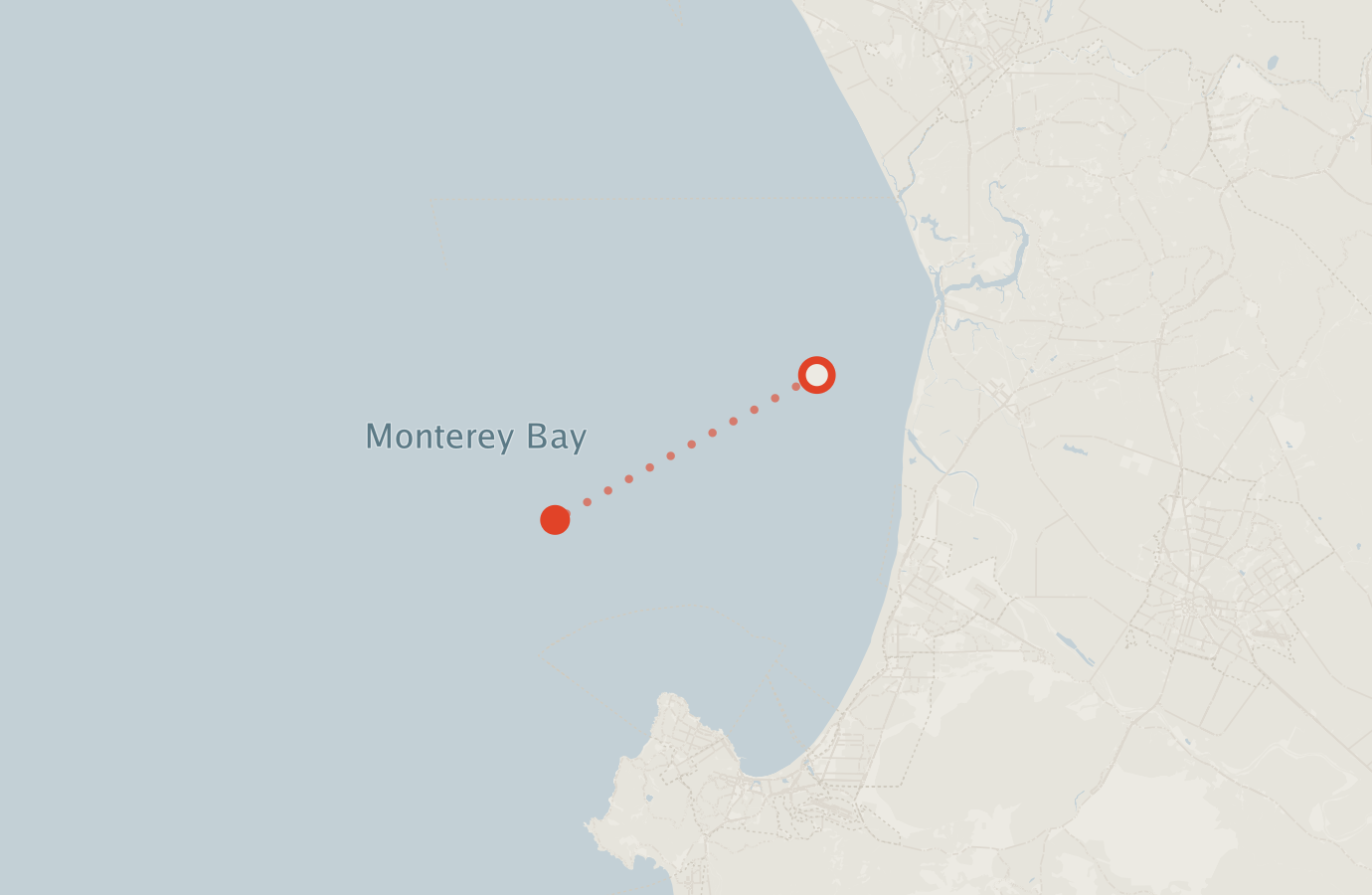 Activity map — real sighting points on an OpenStreetMap basemap