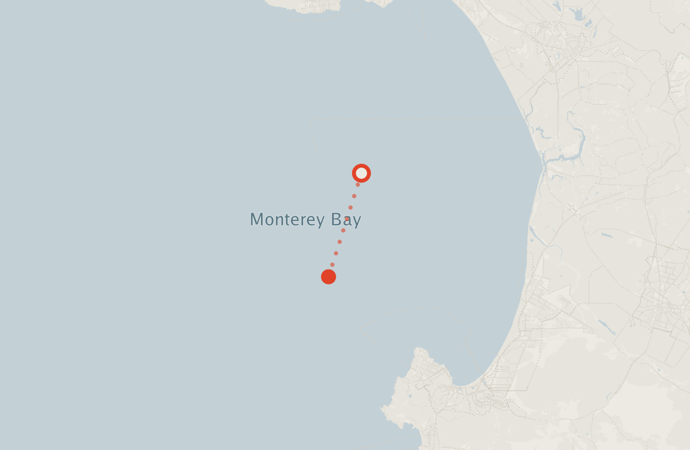 Activity map — real sighting points on an OpenStreetMap basemap
