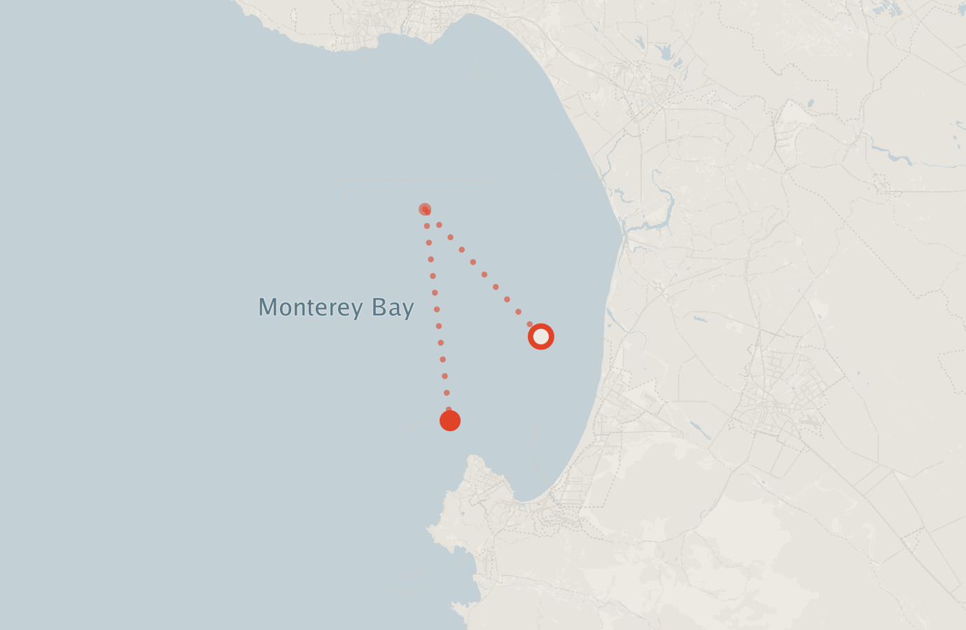 Activity map — real sighting points on an OpenStreetMap basemap
