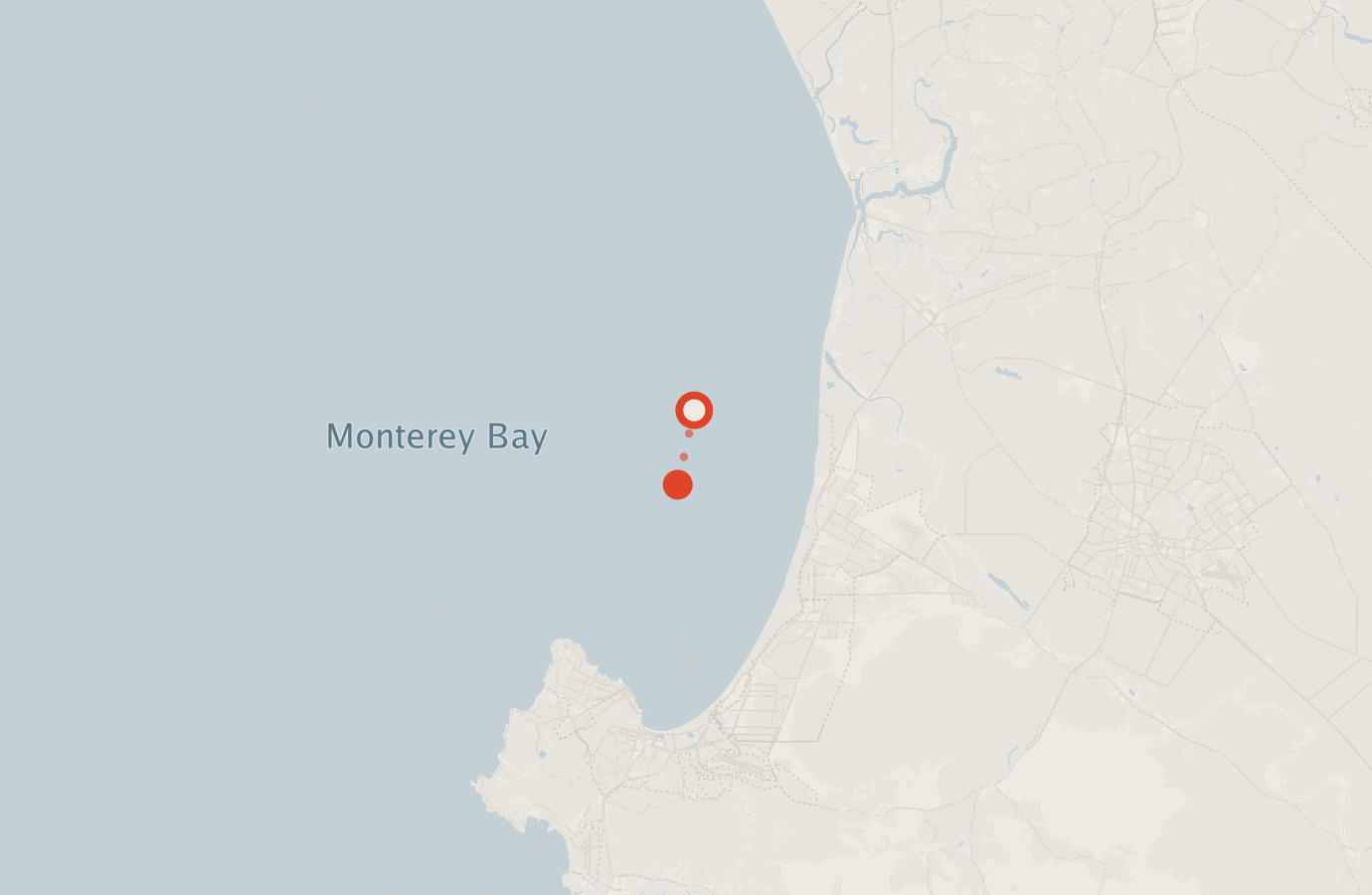 Activity map — real sighting points on an OpenStreetMap basemap