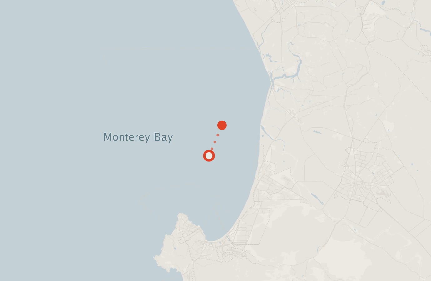 Activity map — real sighting points on an OpenStreetMap basemap