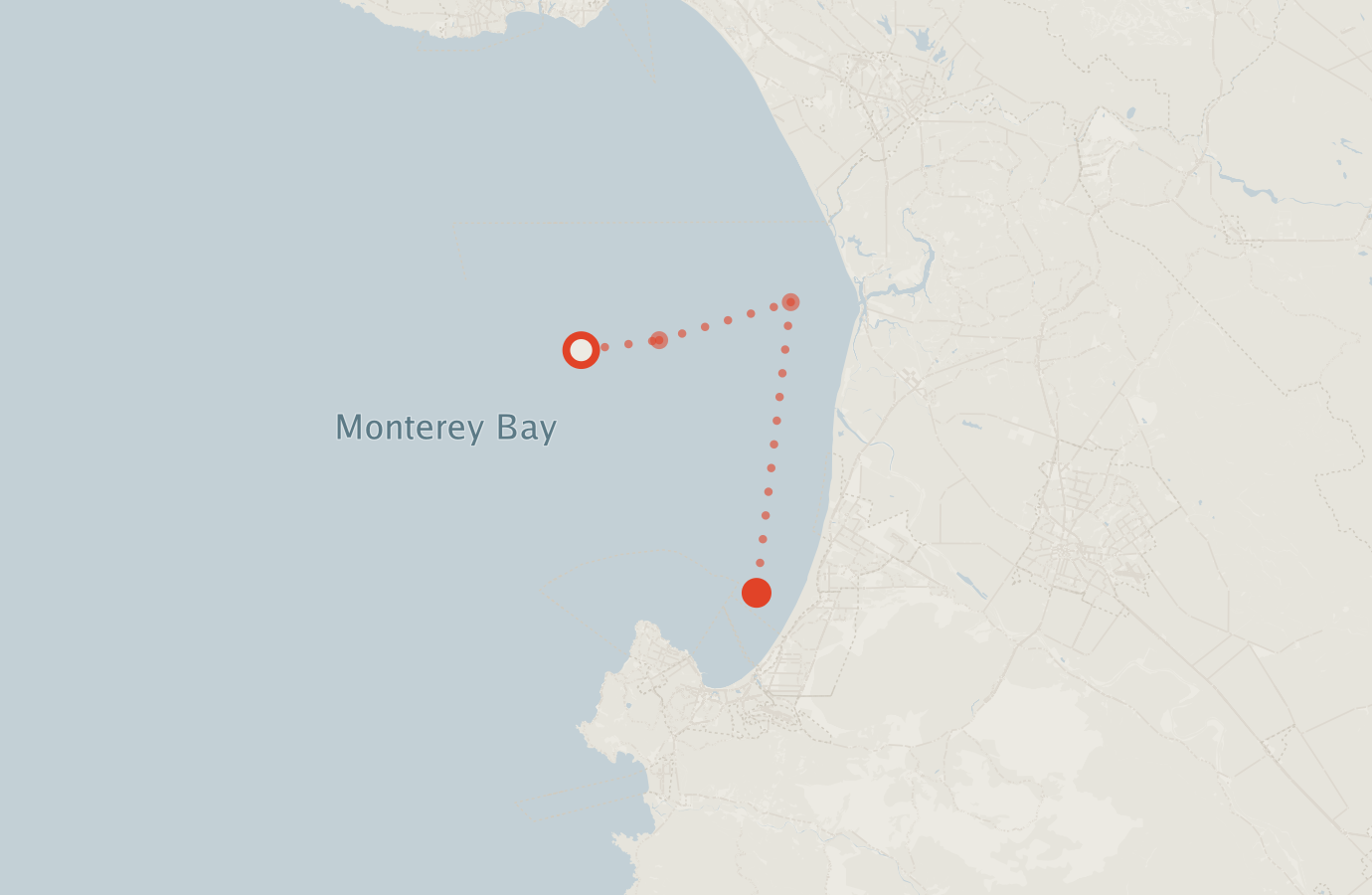 Activity map — real sighting points on an OpenStreetMap basemap