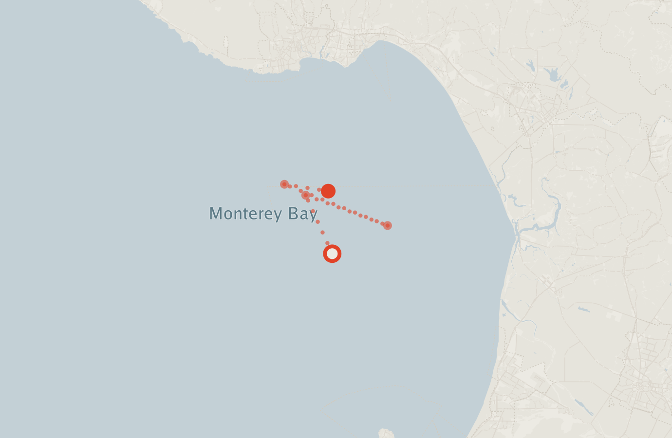 Activity map — real sighting points on an OpenStreetMap basemap
