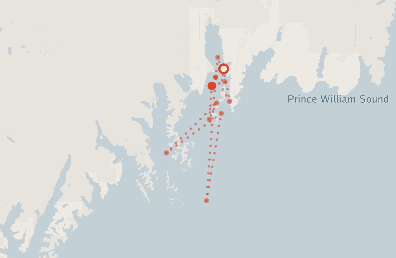 Activity map — real sighting points on an OpenStreetMap basemap