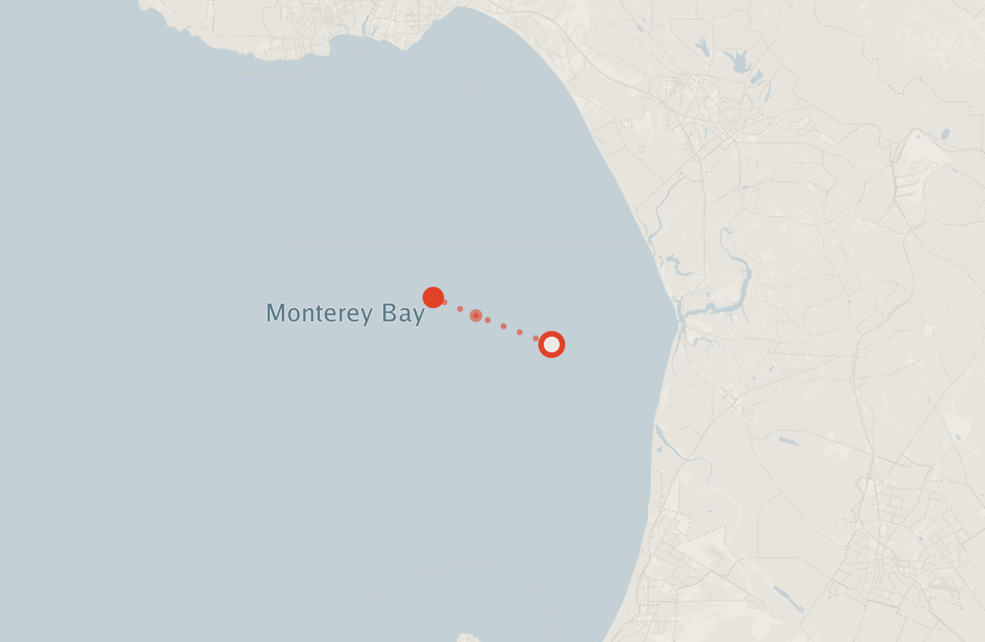 Activity map — real sighting points on an OpenStreetMap basemap
