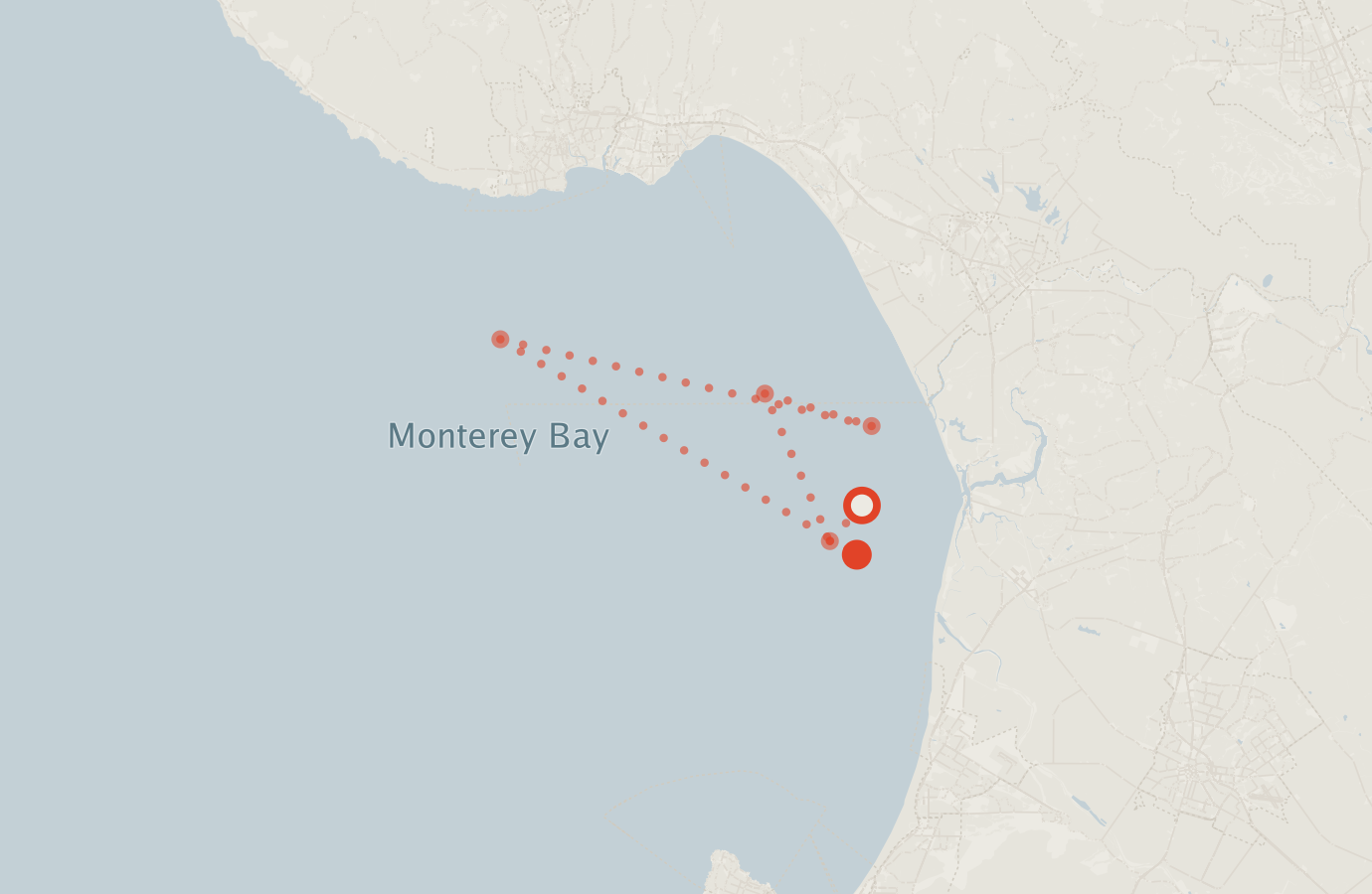 Activity map — real sighting points on an OpenStreetMap basemap