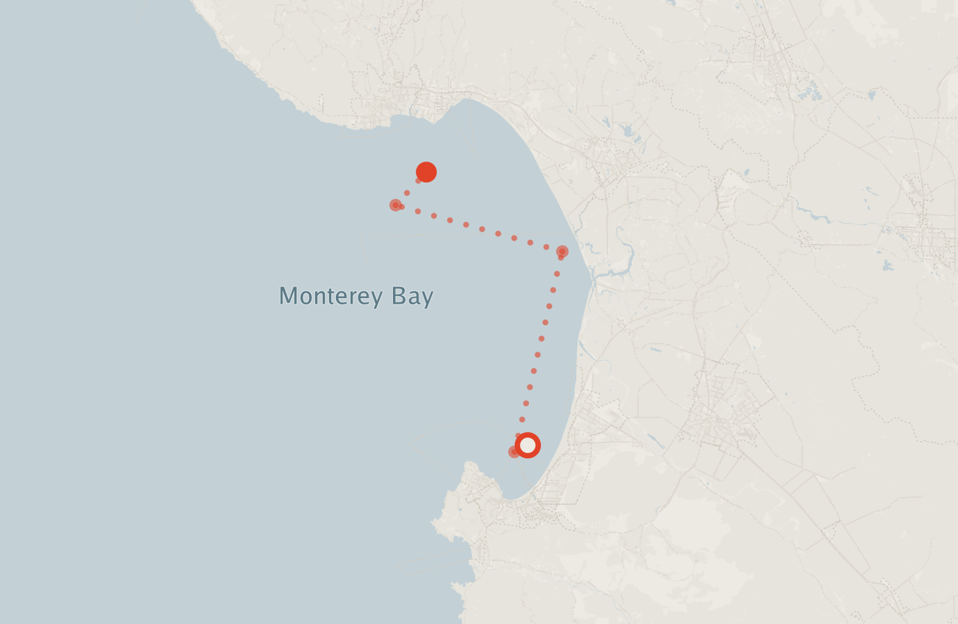 Activity map — real sighting points on an OpenStreetMap basemap