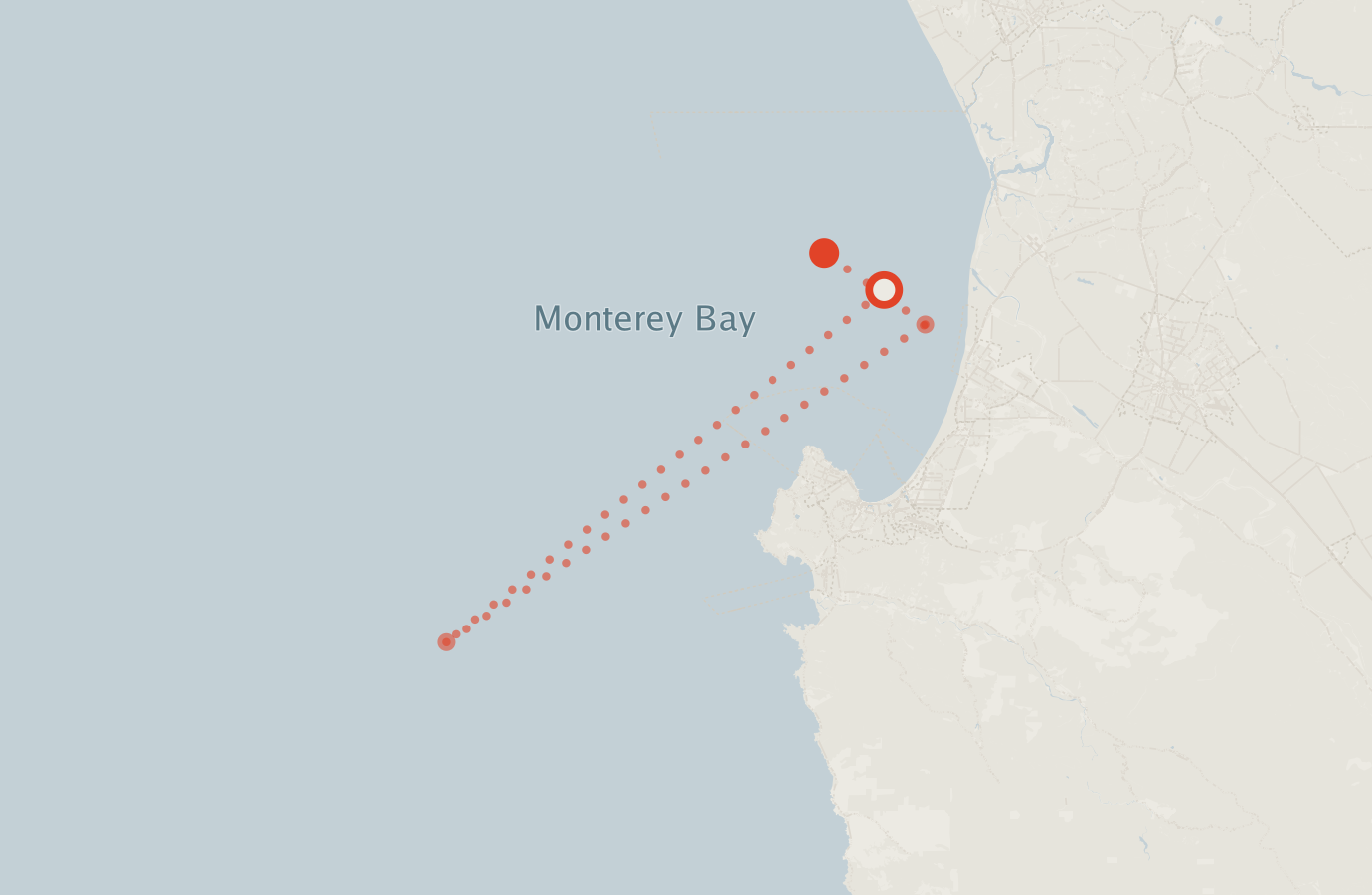 Activity map — real sighting points on an OpenStreetMap basemap