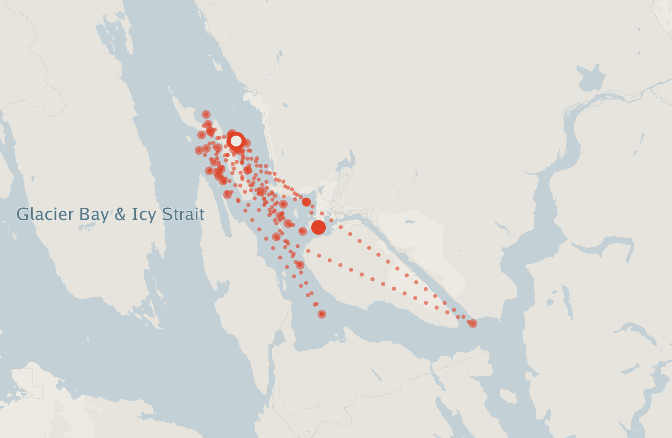 Activity map — real sighting points on an OpenStreetMap basemap