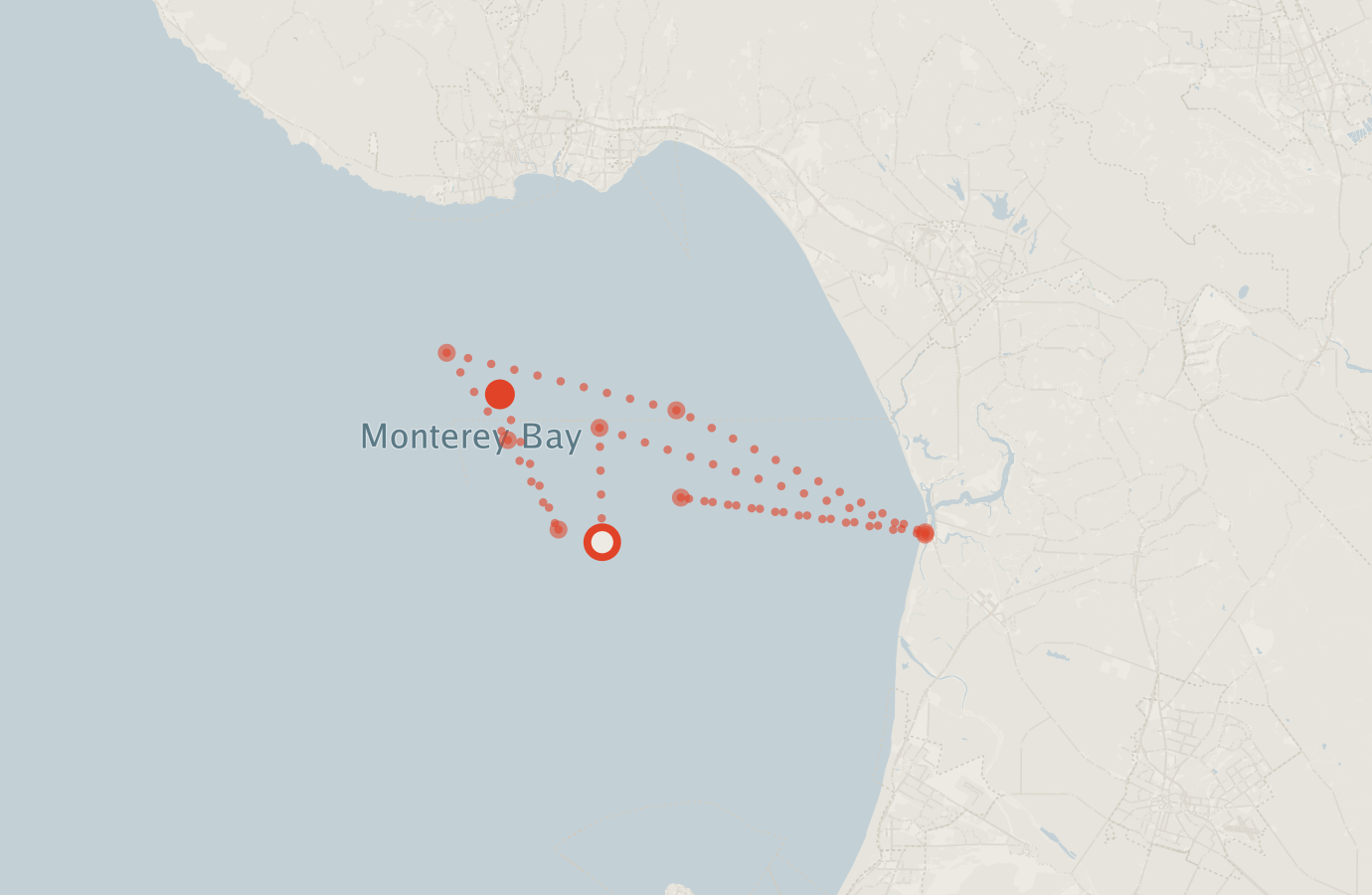 Activity map — real sighting points on an OpenStreetMap basemap