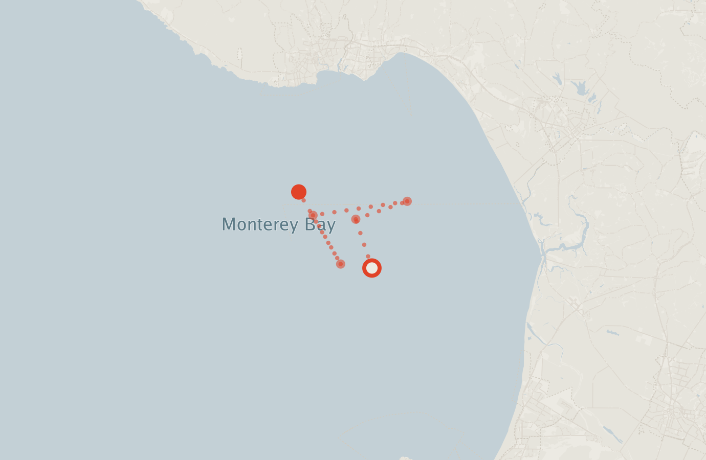 Activity map — real sighting points on an OpenStreetMap basemap