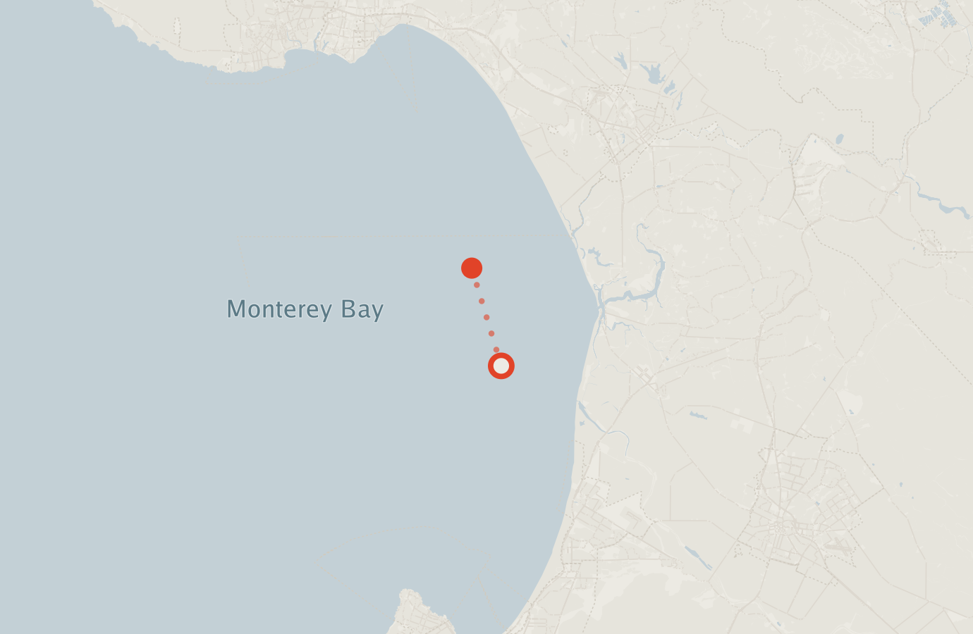 Activity map — real sighting points on an OpenStreetMap basemap