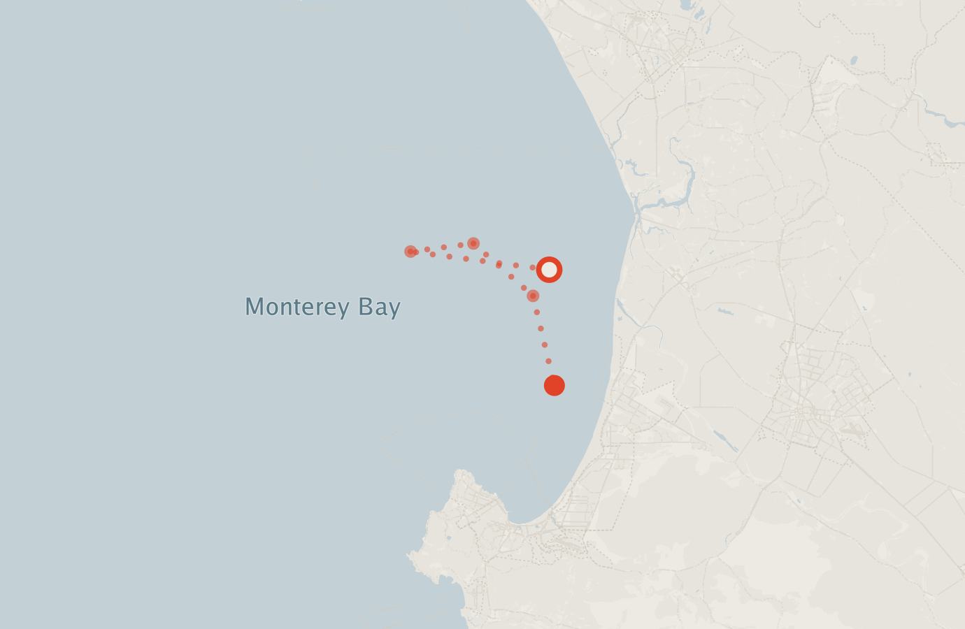 Activity map — real sighting points on an OpenStreetMap basemap