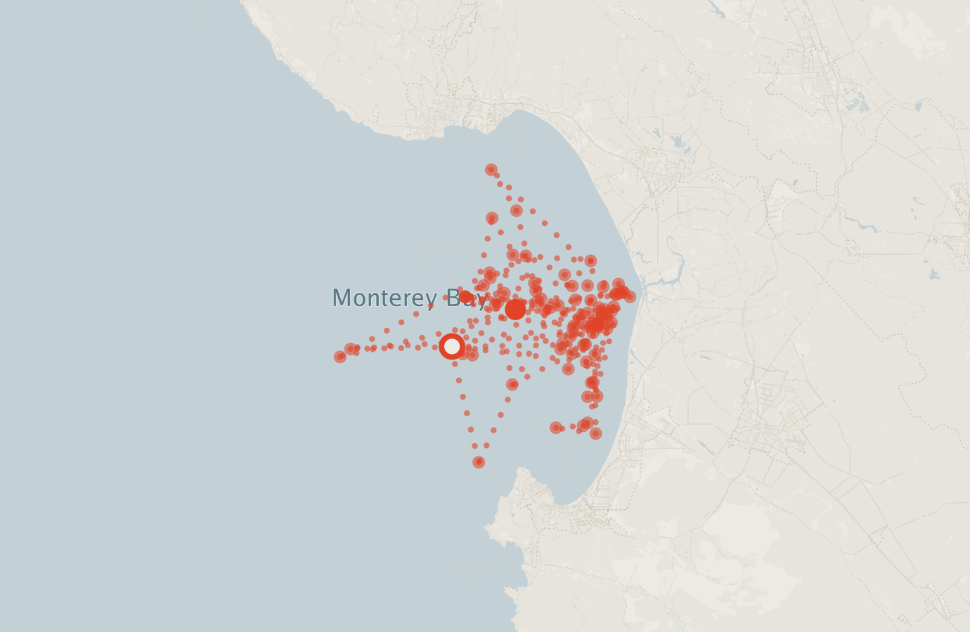 Activity map — real sighting points on an OpenStreetMap basemap