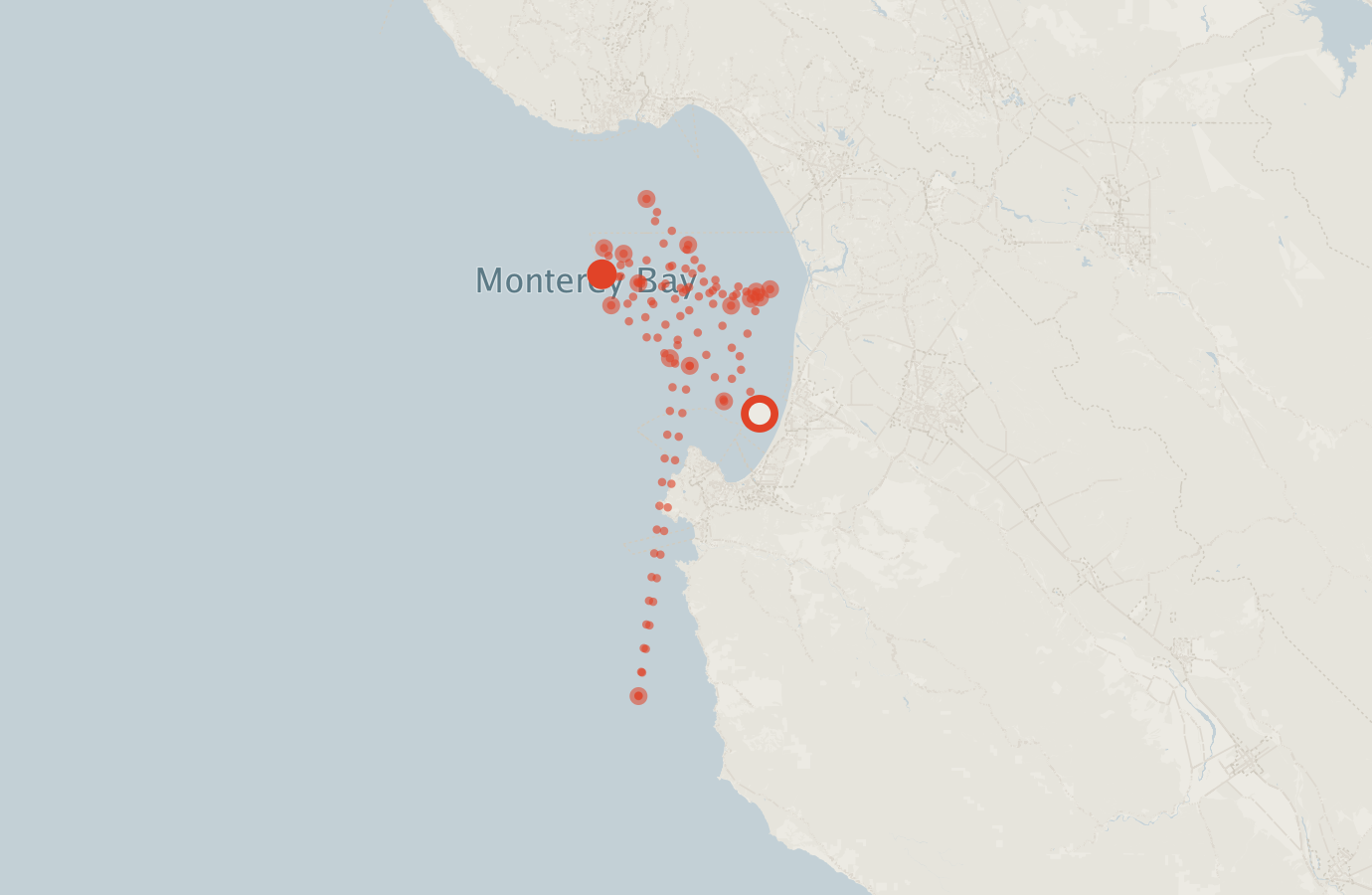 Activity map — real sighting points on an OpenStreetMap basemap