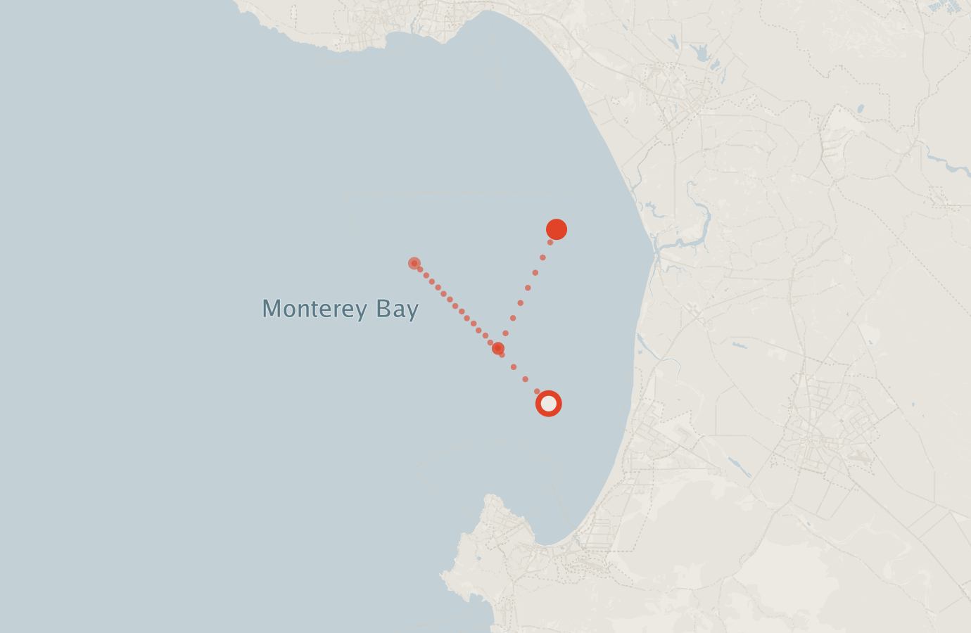 Activity map — real sighting points on an OpenStreetMap basemap