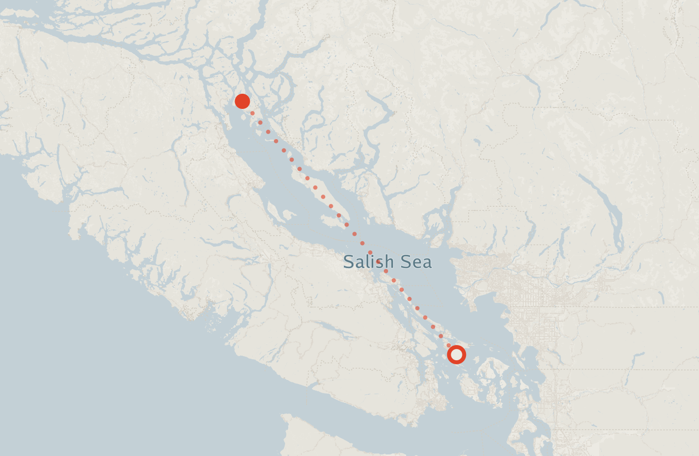 Activity map — real sighting points on an OpenStreetMap basemap