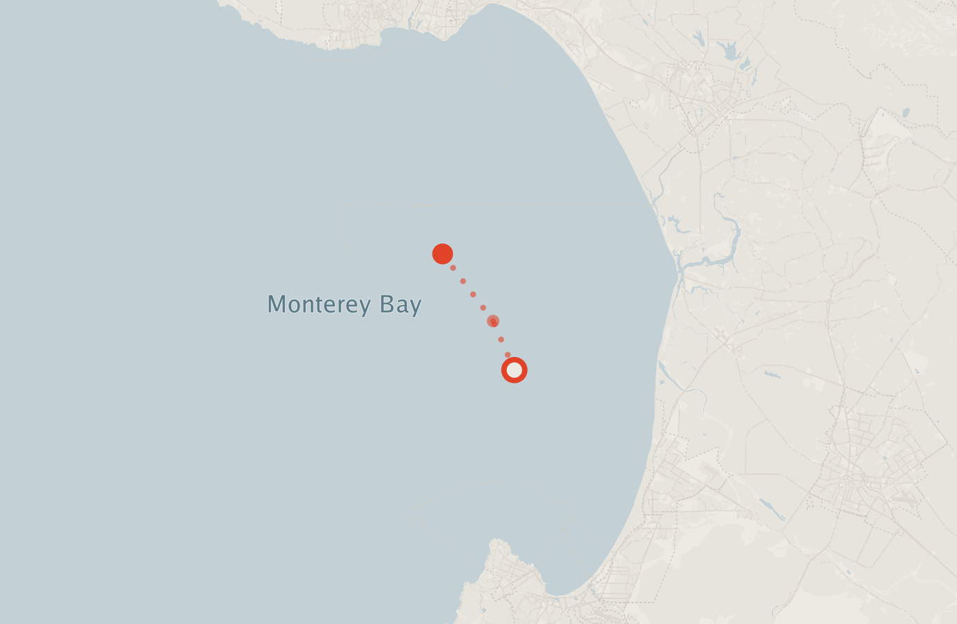 Activity map — real sighting points on an OpenStreetMap basemap