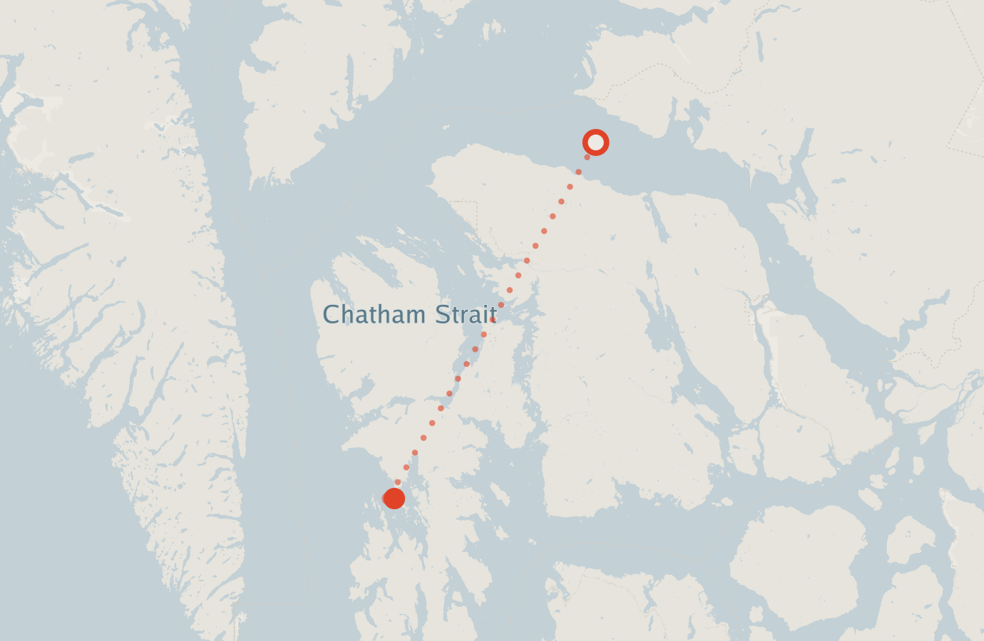 Activity map — real sighting points on an OpenStreetMap basemap