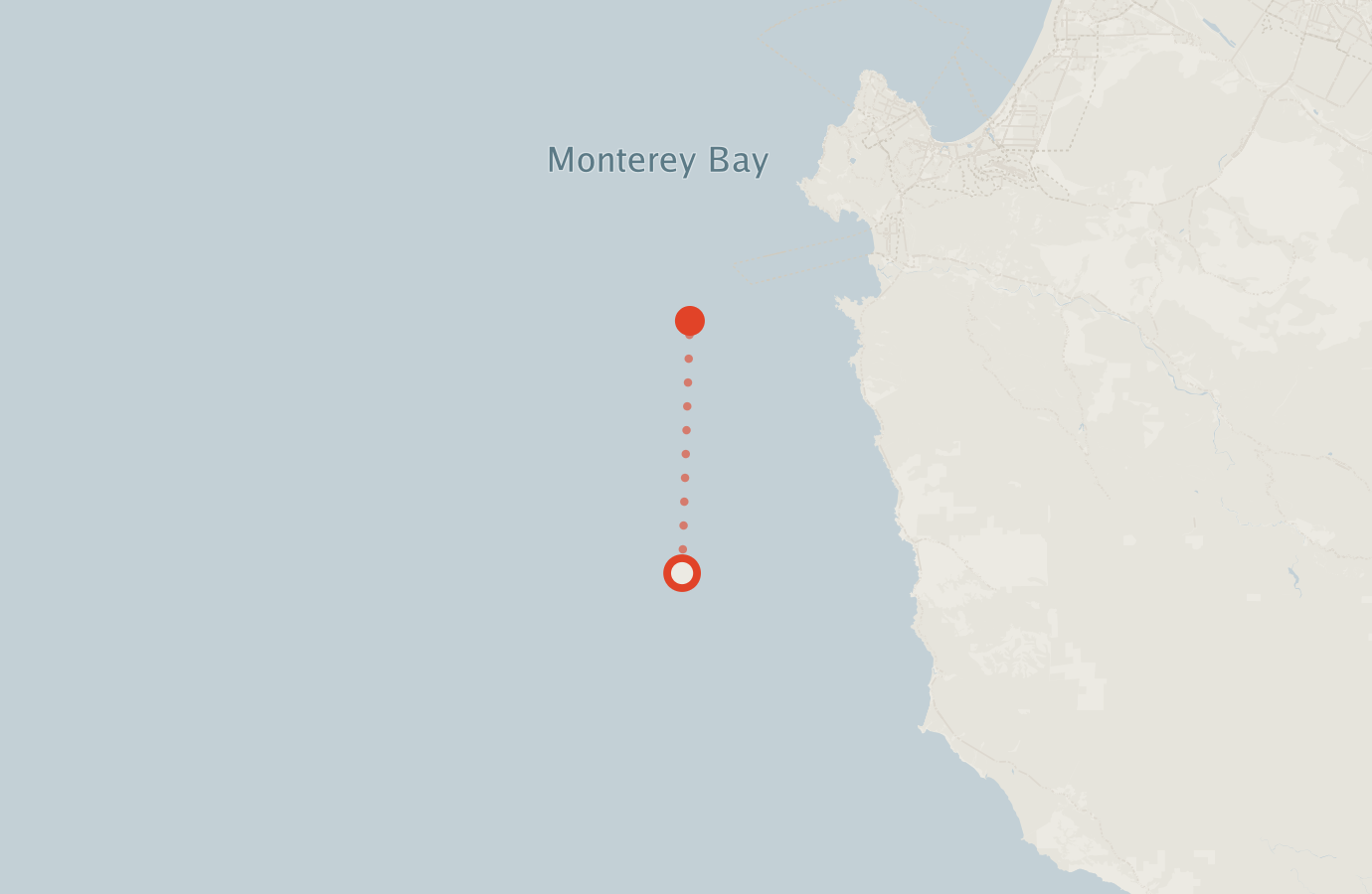 Activity map — real sighting points on an OpenStreetMap basemap
