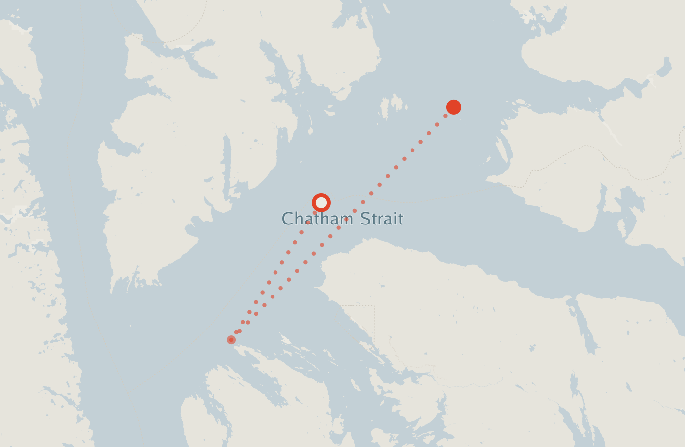 Activity map — real sighting points on an OpenStreetMap basemap