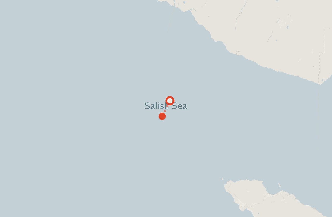 Activity map — real sighting points on an OpenStreetMap basemap