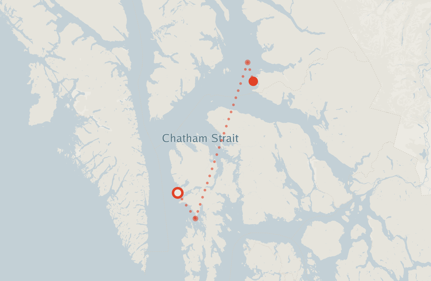 Activity map — real sighting points on an OpenStreetMap basemap