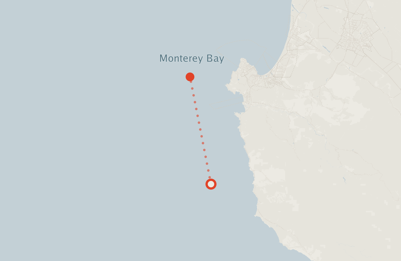 Activity map — real sighting points on an OpenStreetMap basemap