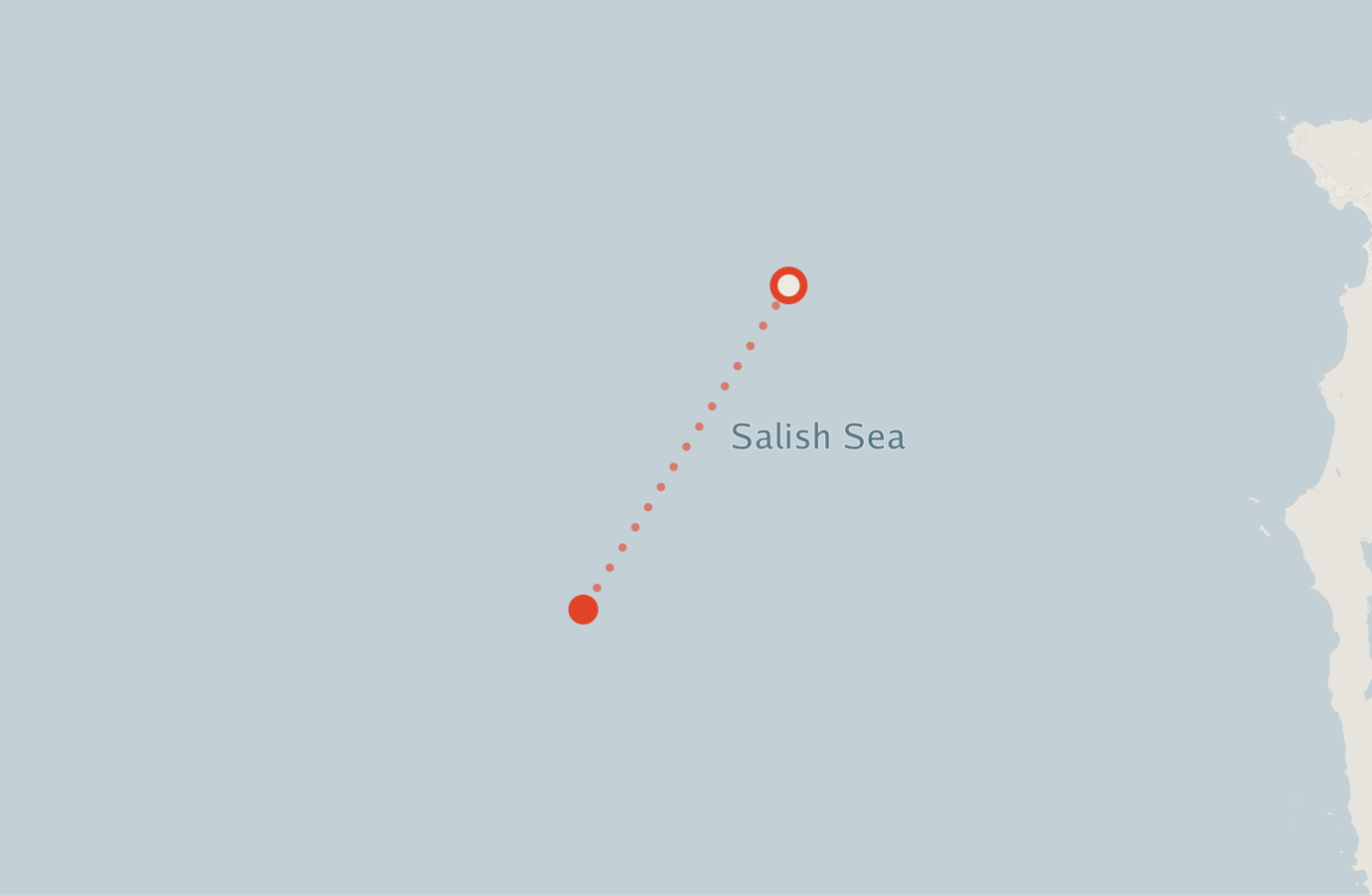 Activity map — real sighting points on an OpenStreetMap basemap